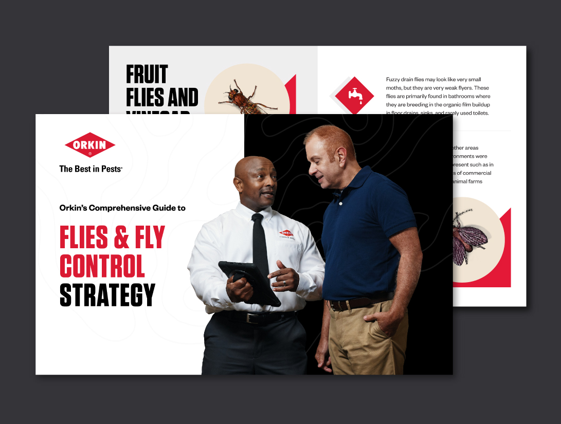 Fly-Control-Guide_Landing-Page_880x560.gif
